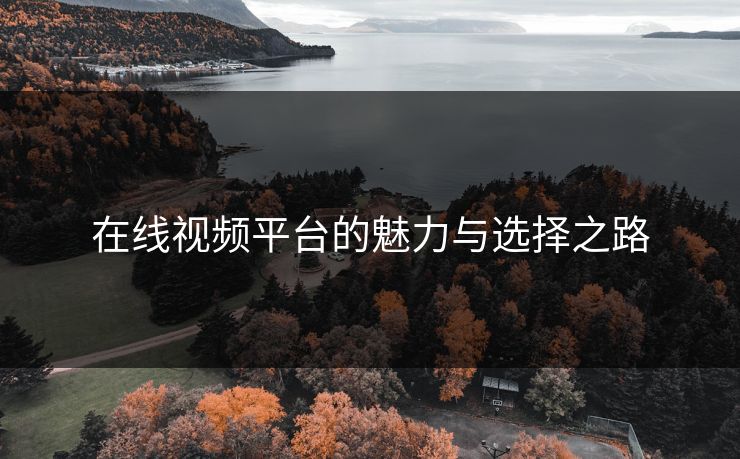 在线视频平台的魅力与选择之路