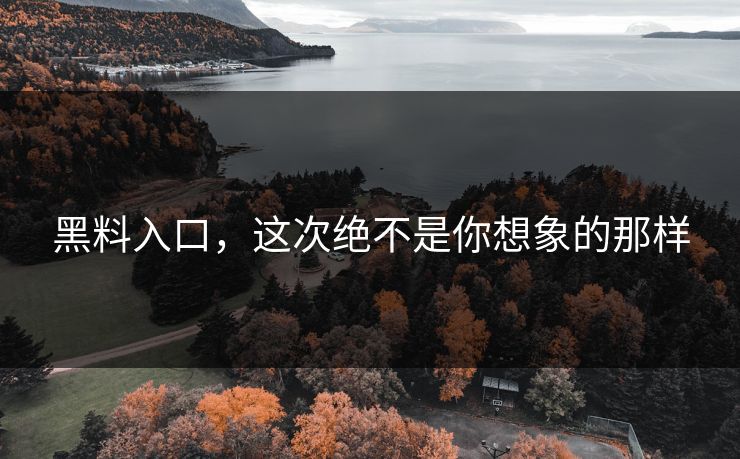 黑料入口，这次绝不是你想象的那样