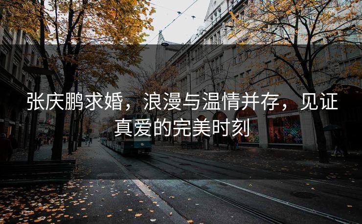 张庆鹏求婚，浪漫与温情并存，见证真爱的完美时刻